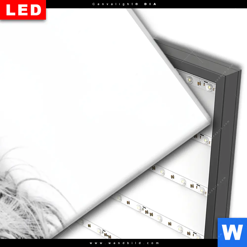 Wechselmotiv Acrylglas Canvalight® DIA | Rind im Hochland | Schmal - Image 3