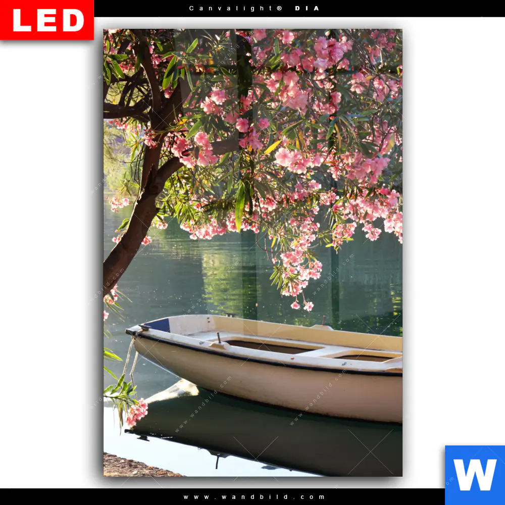 Wechselmotiv Acrylglas Canvalight® DIA | Romantische Bootstour | Hochformat - Image 2