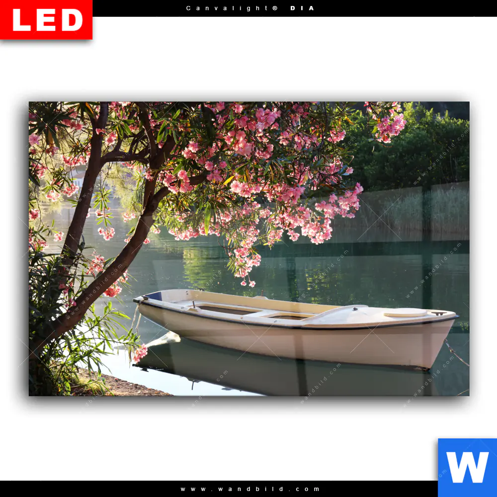 Wechselmotiv Acrylglas Canvalight® DIA | Romantische Bootstour | Querformat - Image 2