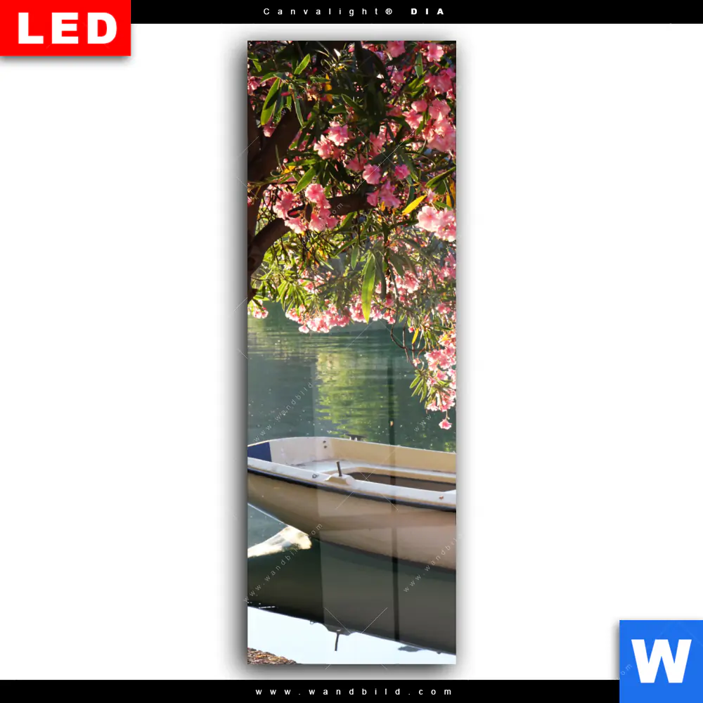 Wechselmotiv Acrylglas Canvalight® DIA | Romantische Bootstour | Schmal - Image 2