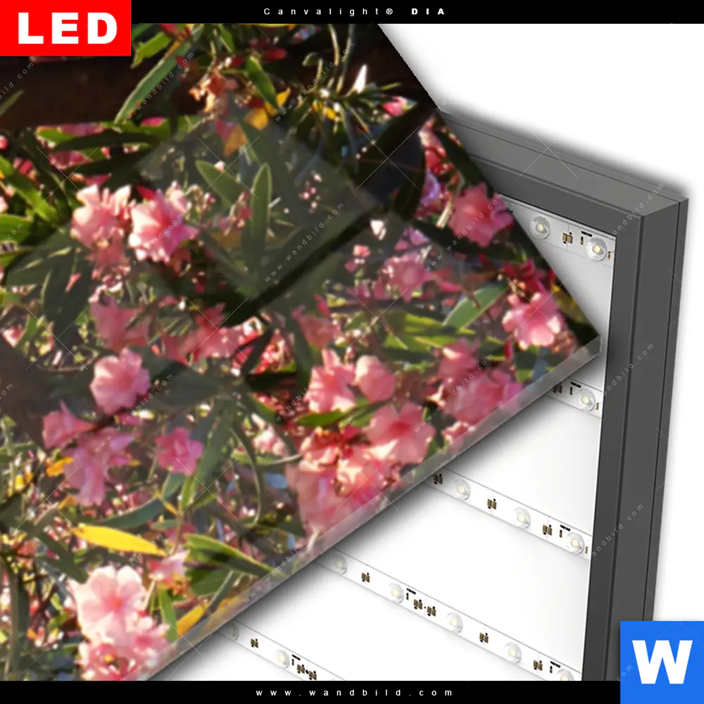 Wechselmotiv Acrylglas Canvalight® DIA | Romantische Bootstour | Schmal - Image 3