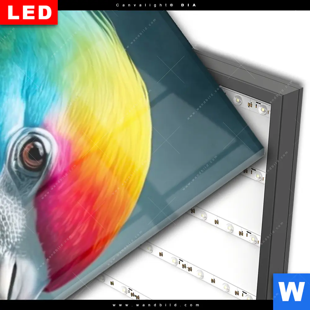 Wechselmotiv Acrylglas Canvalight® DIA | Romantische Flamingos | Schmal - Image 3