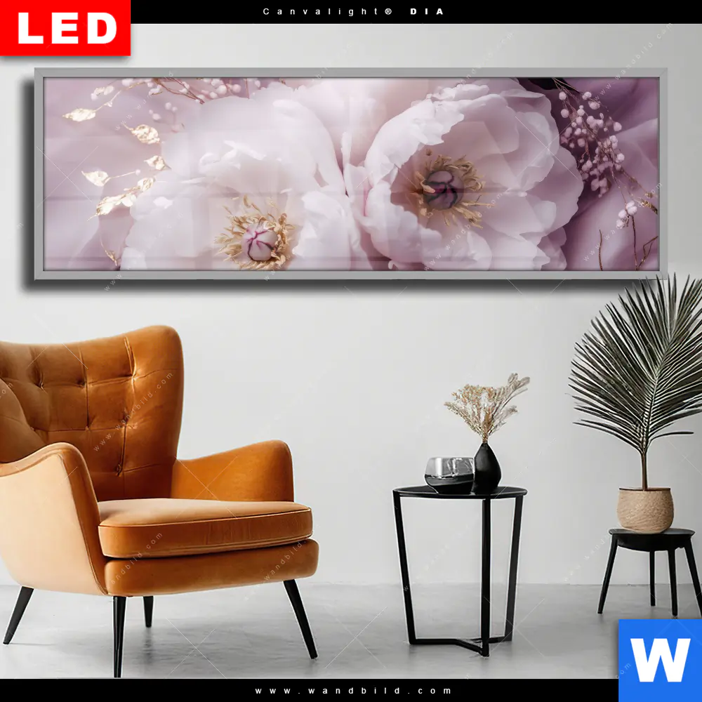 Wechselmotiv Acrylglas Canvalight® DIA | Romantische Pfingstrosen | Panorama