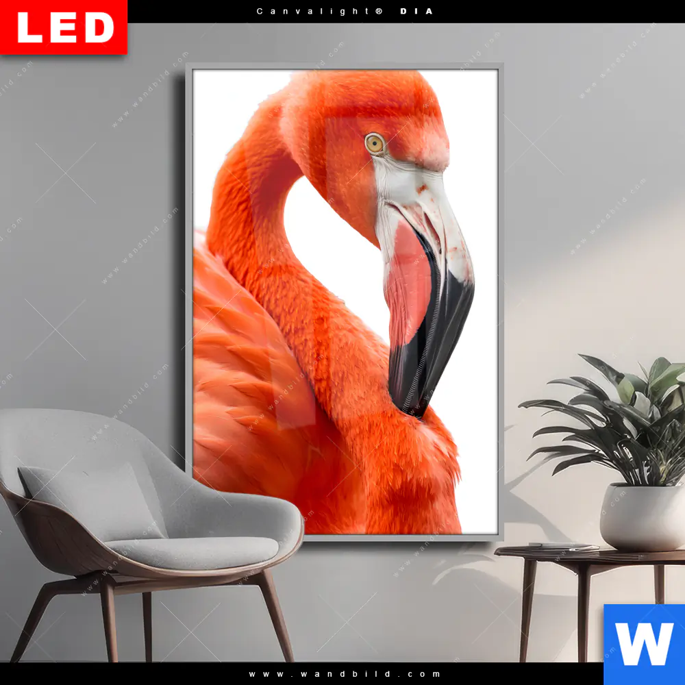 Wechselmotiv Acrylglas Canvalight® DIA | Rosa Flamingo | Hochformat