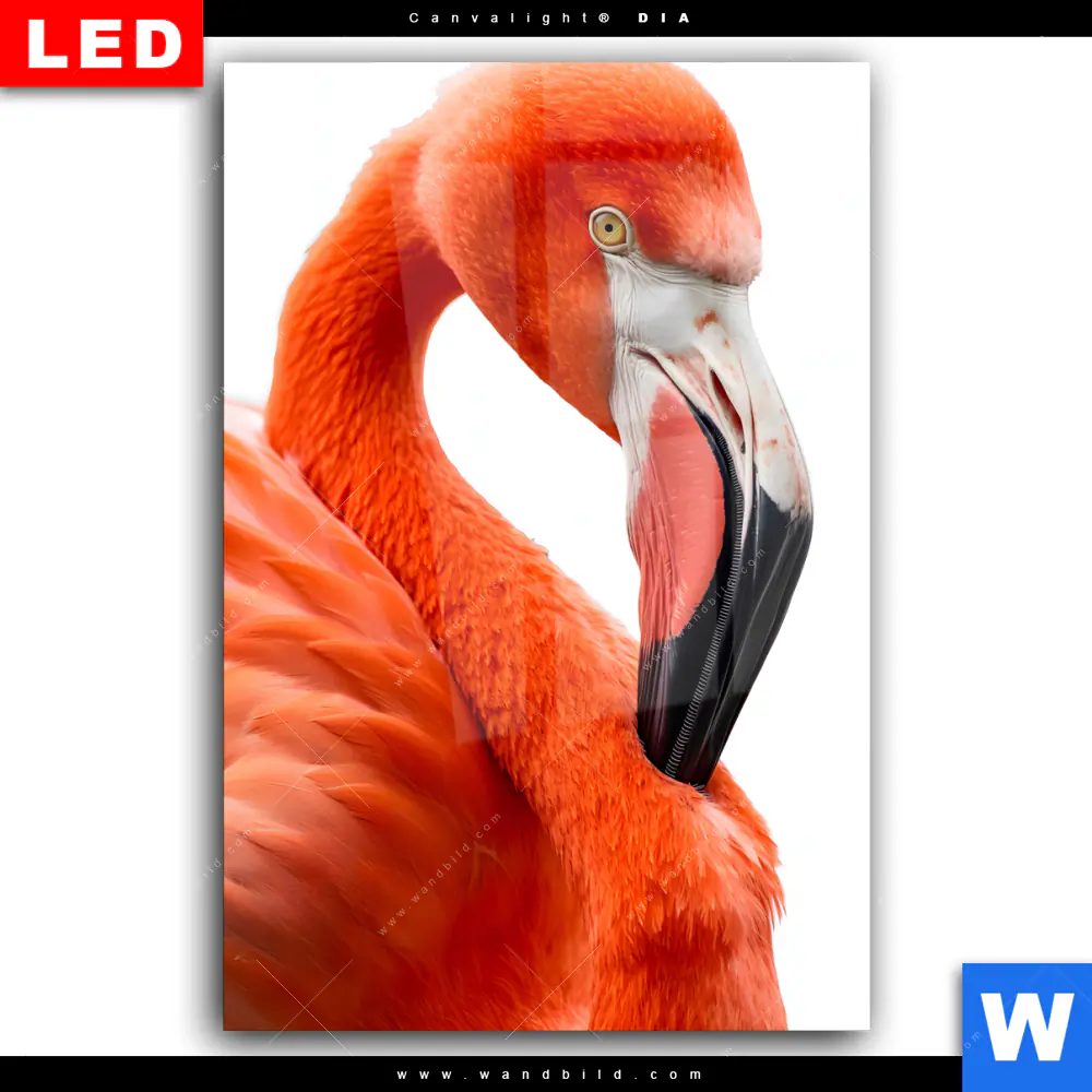 Wechselmotiv Acrylglas Canvalight® DIA | Rosa Flamingo | Hochformat - Image 2
