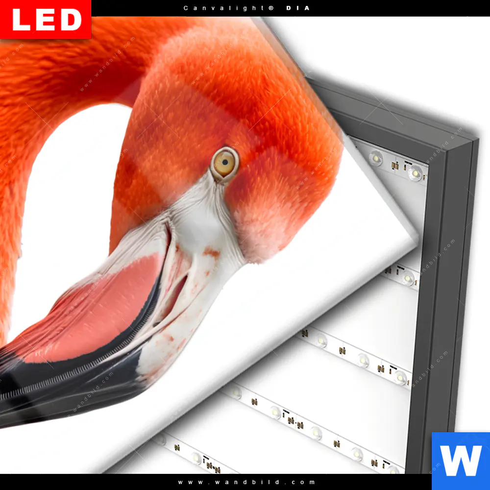 Wechselmotiv Acrylglas Canvalight® DIA | Rosa Flamingo | Hochformat - Image 3