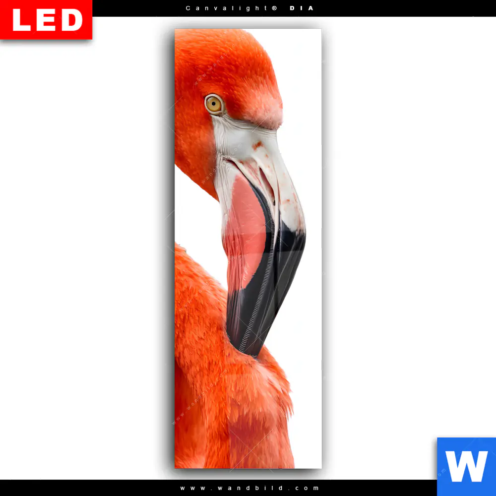 Wechselmotiv Acrylglas Canvalight® DIA | Rosa Flamingo | Schmal - Image 2