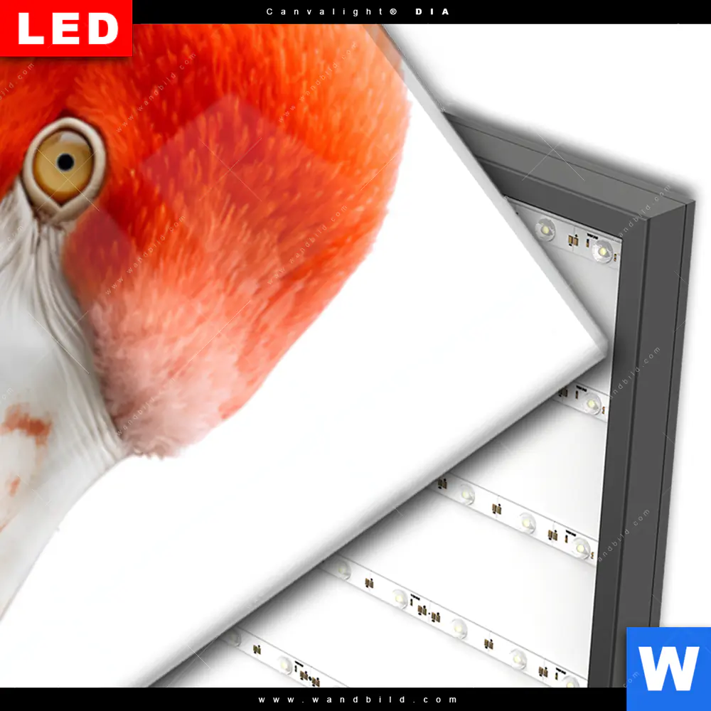 Wechselmotiv Acrylglas Canvalight® DIA | Rosa Flamingo | Schmal - Image 3