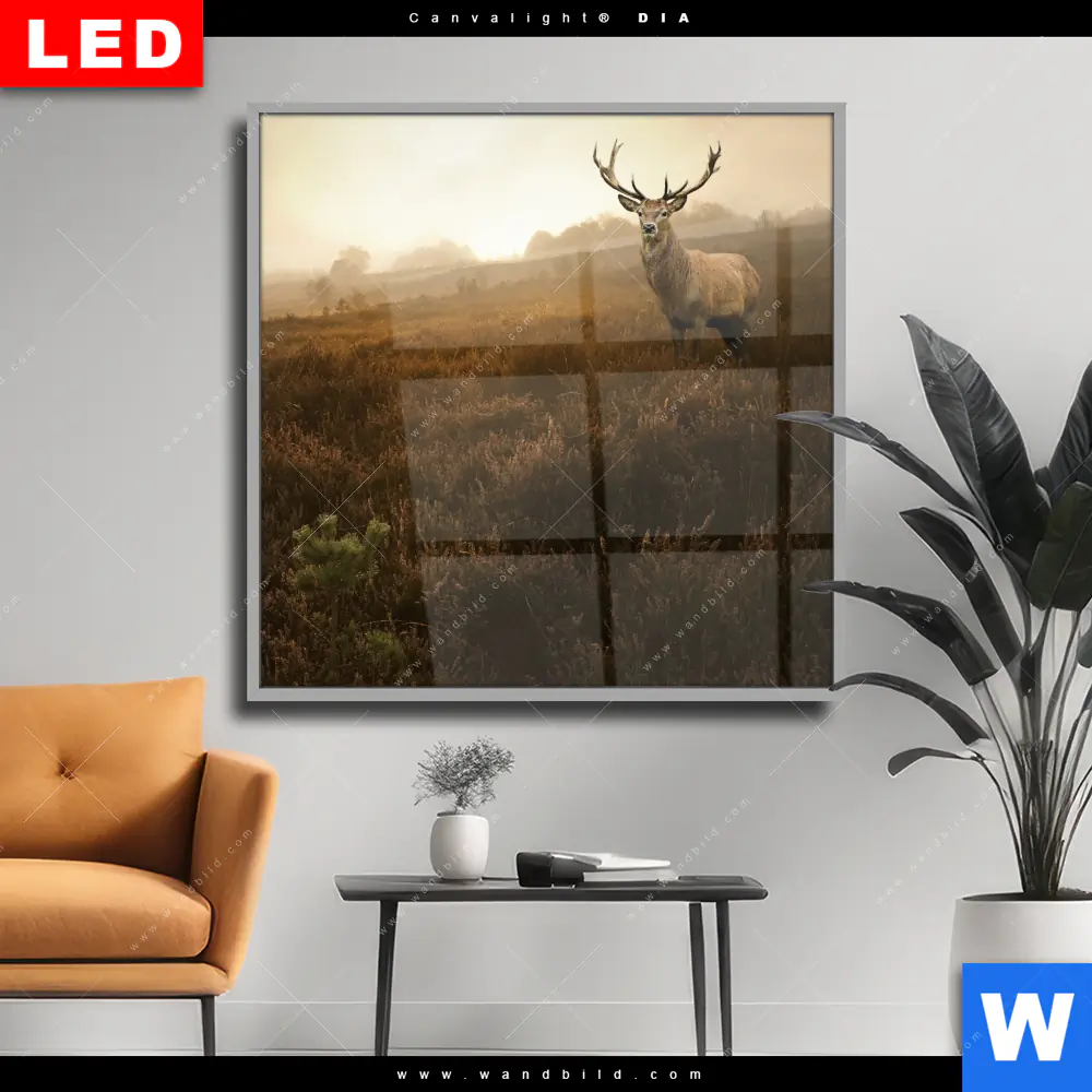 Wechselmotiv Acrylglas Canvalight® DIA | Rothirsch im Nebel | Quadrat