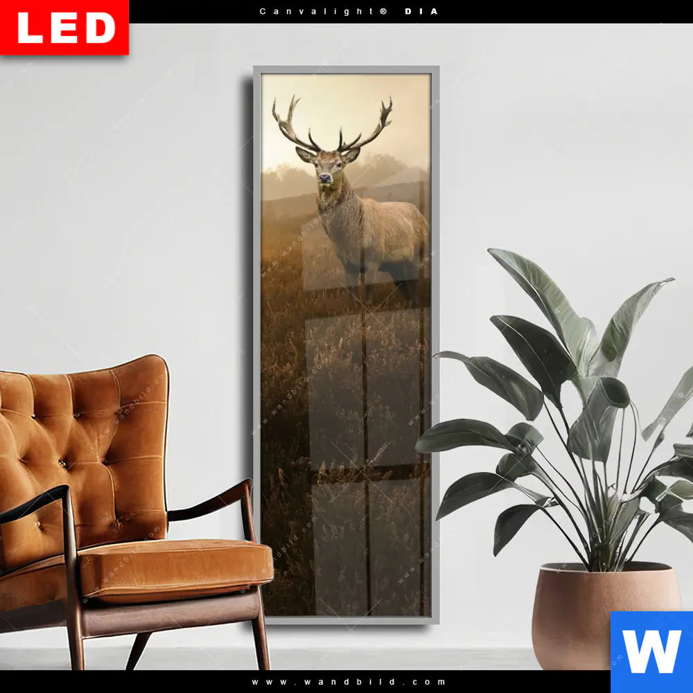 Wechselmotiv Acrylglas Canvalight® DIA | Rothirsch im Nebel | Schmal