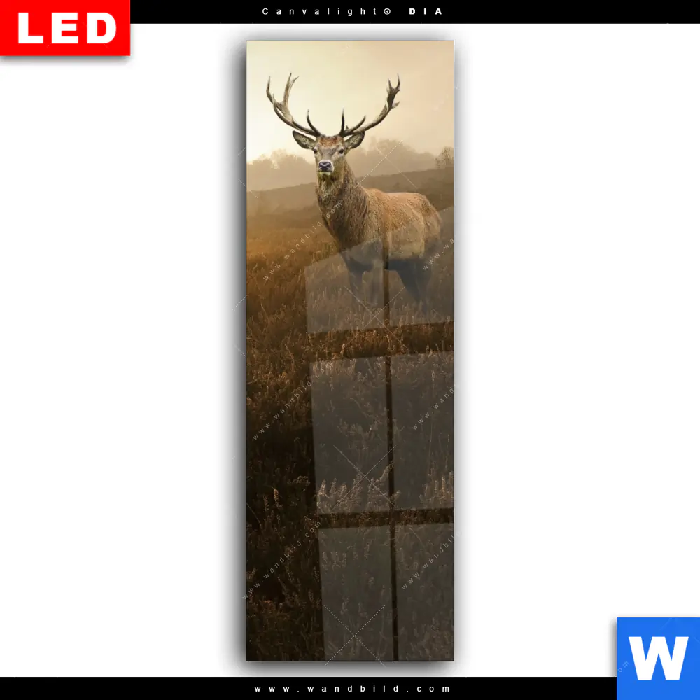 Wechselmotiv Acrylglas Canvalight® DIA | Rothirsch im Nebel | Schmal - Image 2
