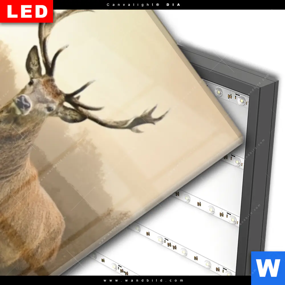 Wechselmotiv Acrylglas Canvalight® DIA | Rothirsch im Nebel | Schmal - Image 3