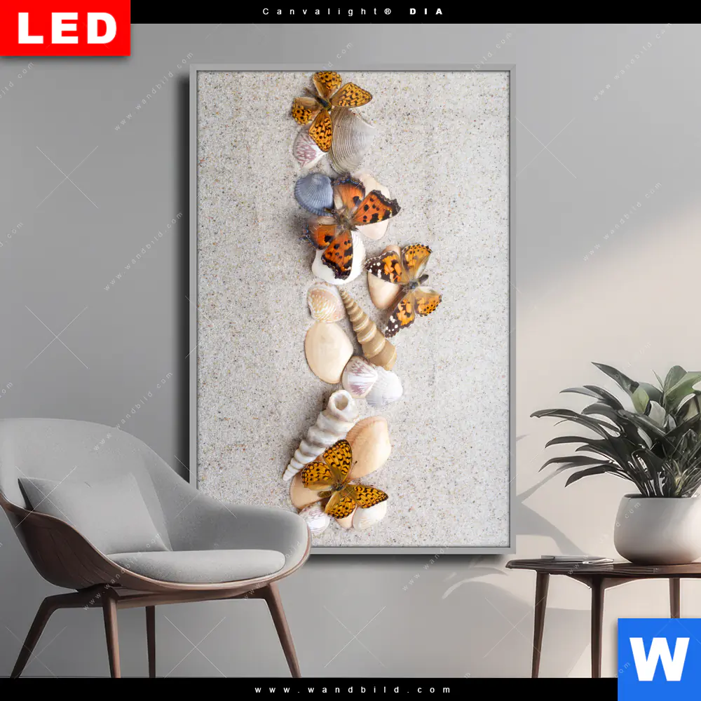Wechselmotiv Acrylglas Canvalight® DIA | Schmetterlinge & Muscheln im Sand | Hochformat