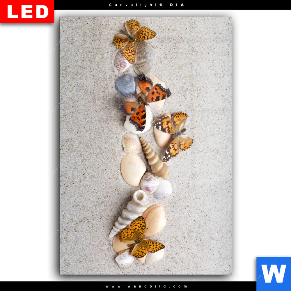 Wechselmotiv Acrylglas Canvalight® DIA | Schmetterlinge & Muscheln im Sand | Hochformat - Image 2
