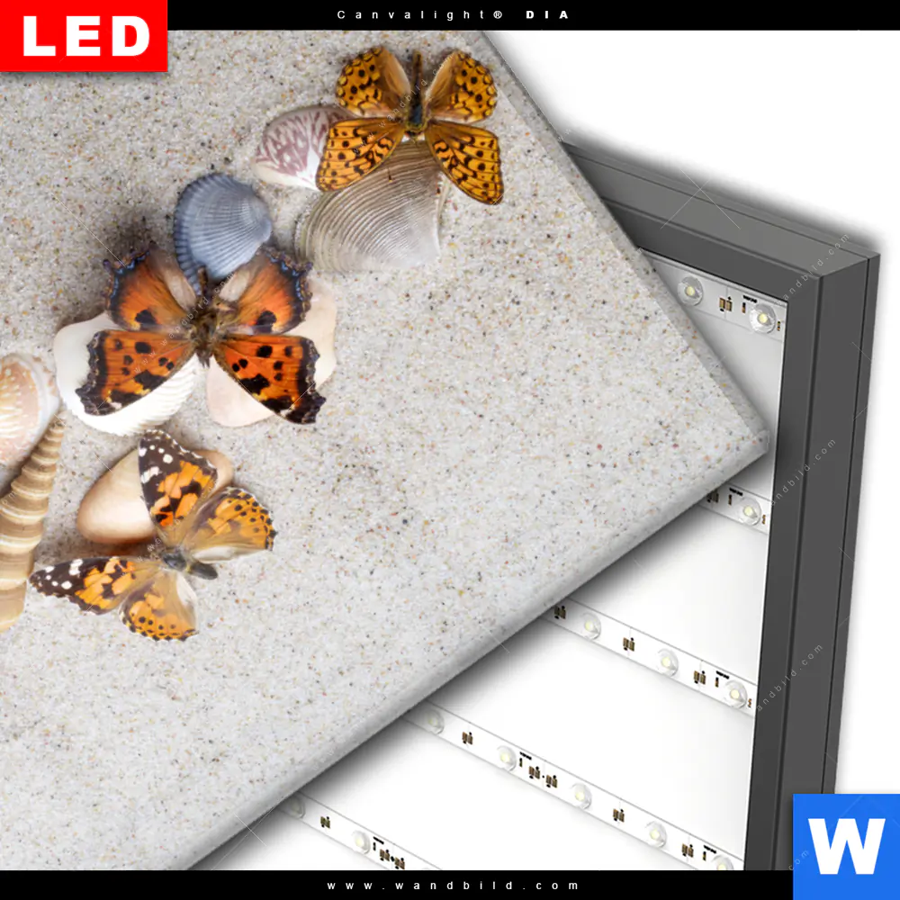 Wechselmotiv Acrylglas Canvalight® DIA | Schmetterlinge & Muscheln im Sand | Hochformat - Image 3
