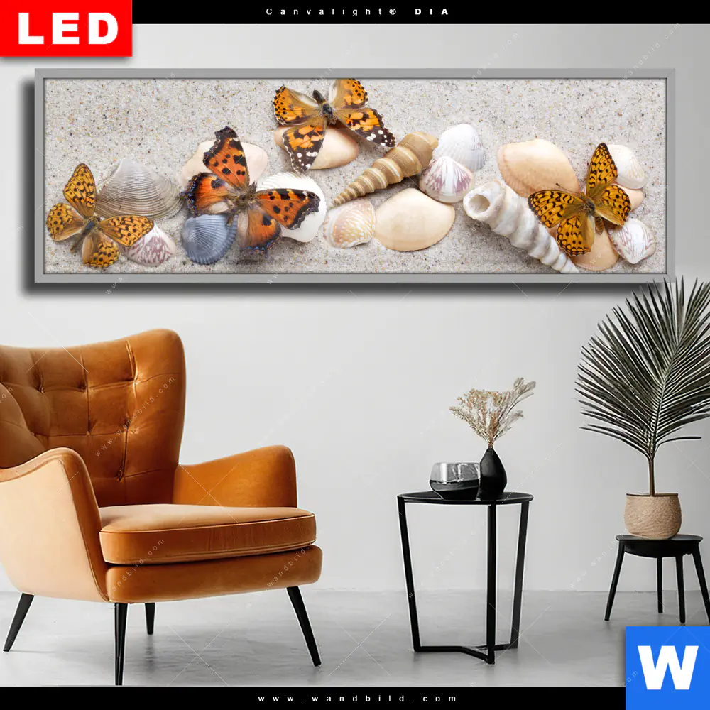 Wechselmotiv Acrylglas Canvalight® DIA | Schmetterlinge & Muscheln im Sand | Panorama