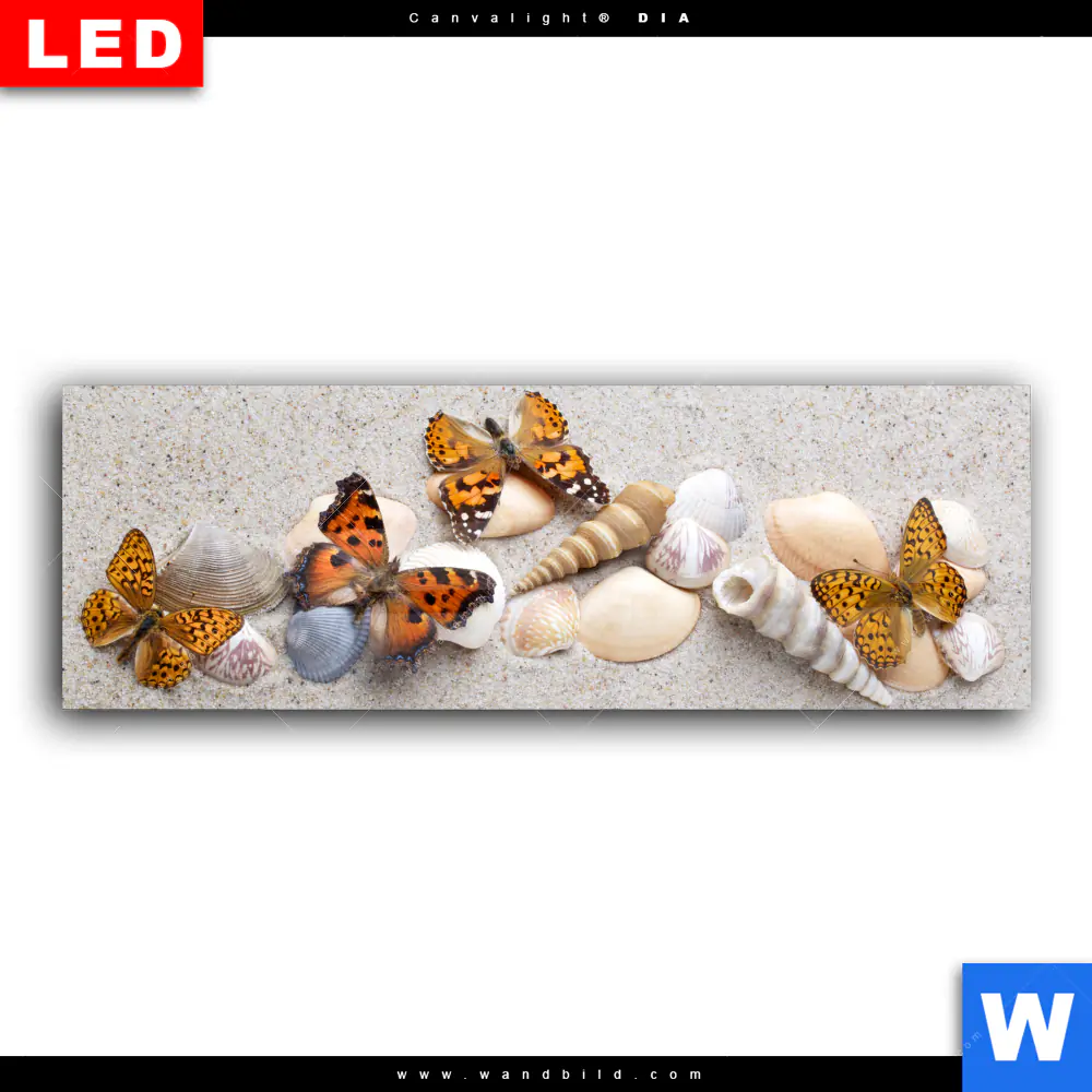 Wechselmotiv Acrylglas Canvalight® DIA | Schmetterlinge & Muscheln im Sand | Panorama - Image 2