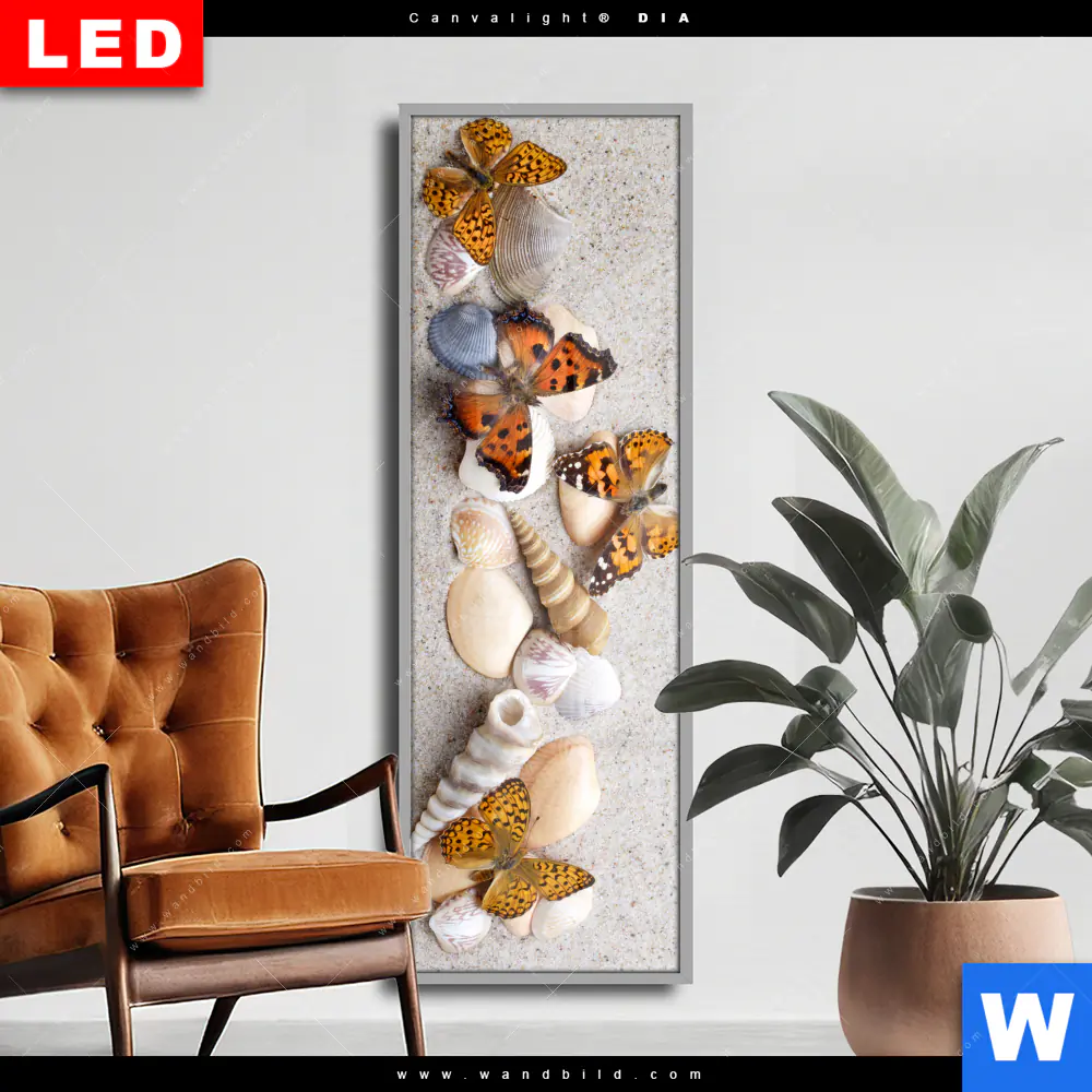 Wechselmotiv Acrylglas Canvalight® DIA | Schmetterlinge & Muscheln im Sand | Schmal