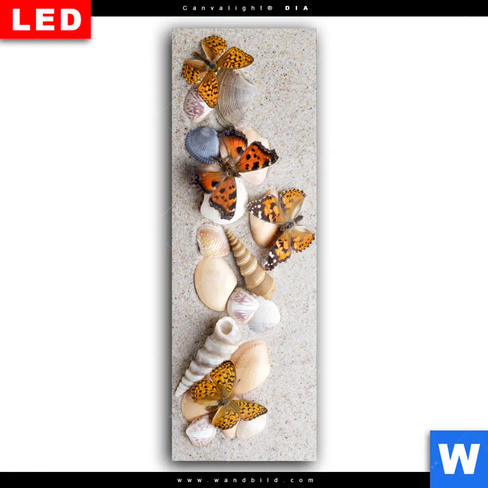 Wechselmotiv Acrylglas Canvalight® DIA | Schmetterlinge & Muscheln im Sand | Schmal - Image 2