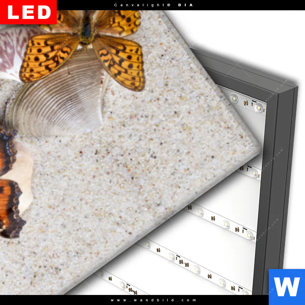 Wechselmotiv Acrylglas Canvalight® DIA | Schmetterlinge & Muscheln im Sand | Schmal - Image 3
