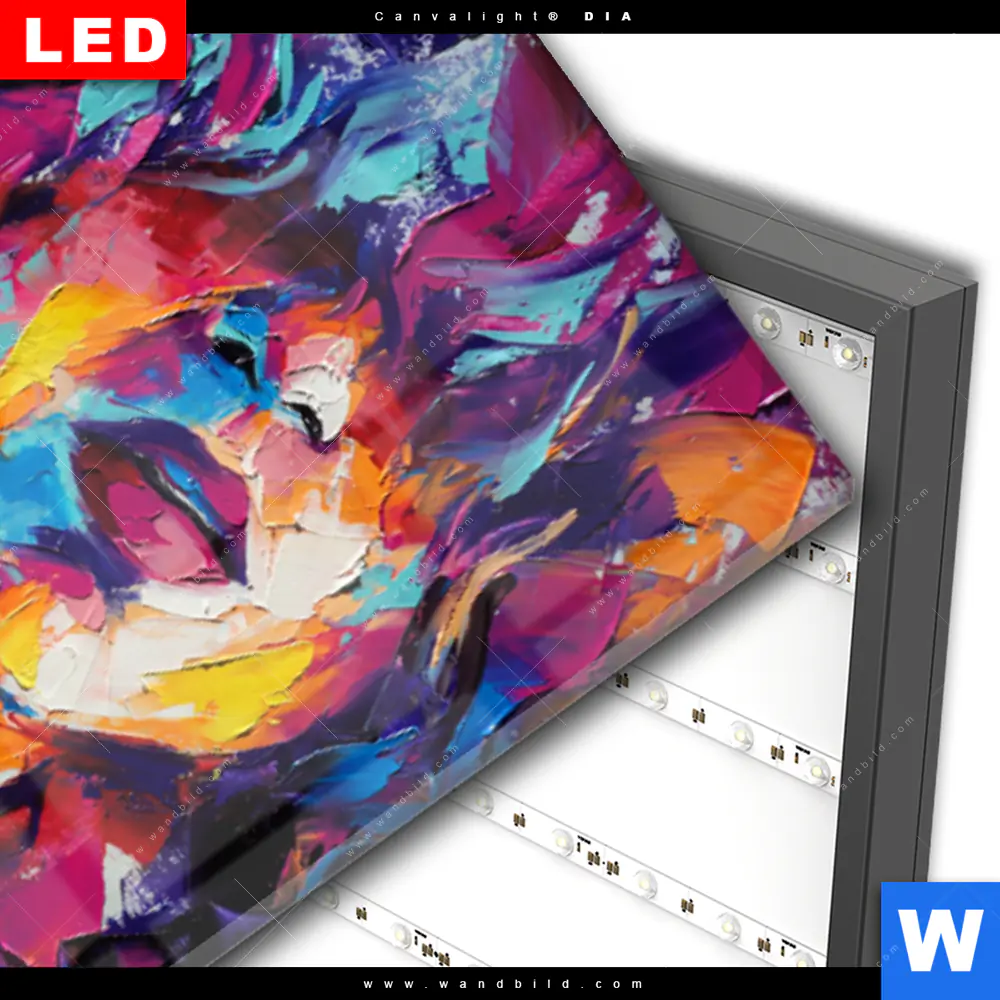 Wechselmotiv Acrylglas Canvalight® DIA | Schöne Luise | Schmal - Image 3