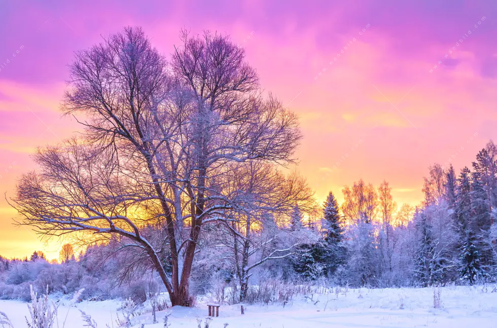 Wechselmotiv Acrylglas Canvalight® DIA | Schöne Winterlandschaft | Hochformat - Image 5