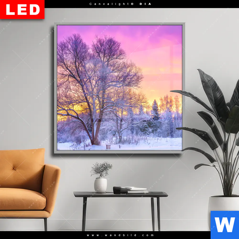 Wechselmotiv Acrylglas Canvalight® DIA | Schöne Winterlandschaft | Quadrat