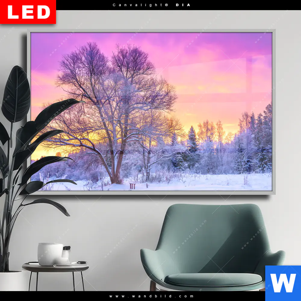 Wechselmotiv Acrylglas Canvalight® DIA | Schöne Winterlandschaft | Querformat