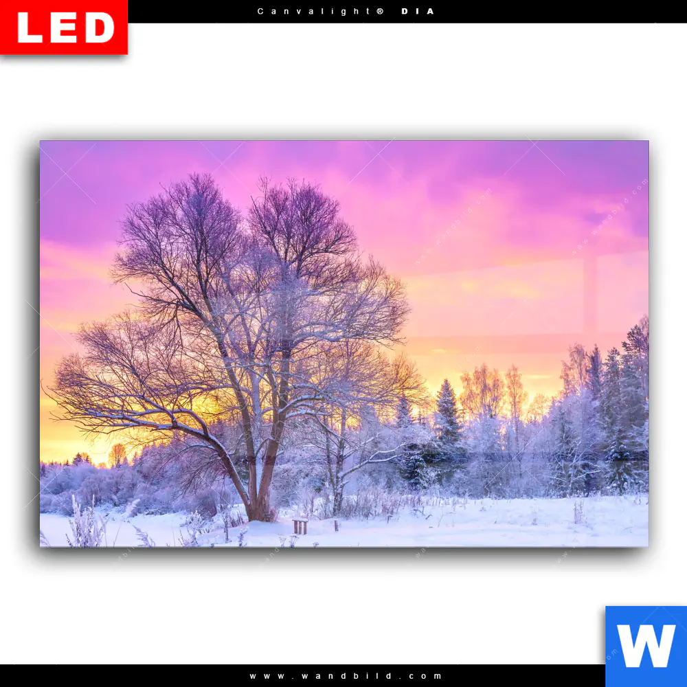 Wechselmotiv Acrylglas Canvalight® DIA | Schöne Winterlandschaft | Querformat - Image 2