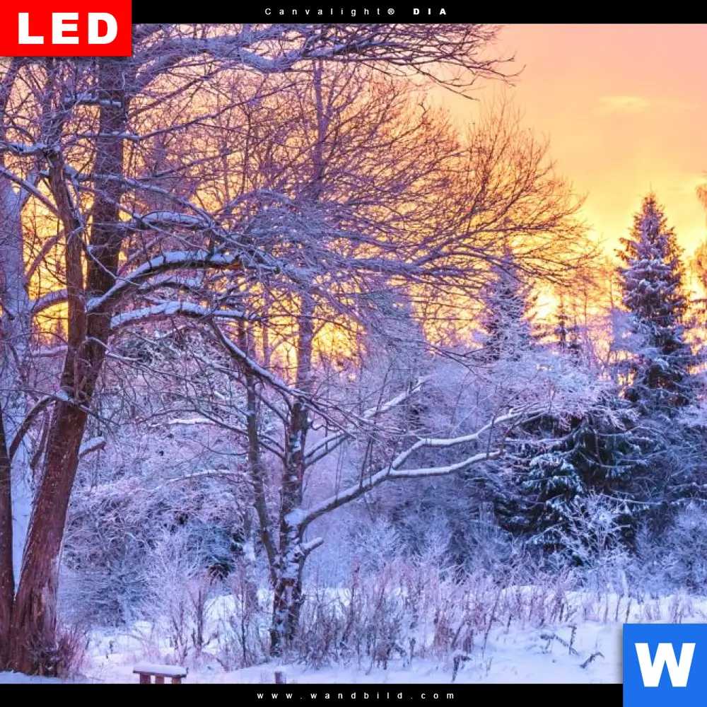 Wechselmotiv Acrylglas Canvalight® DIA | Schöne Winterlandschaft | Schmal - Image 4