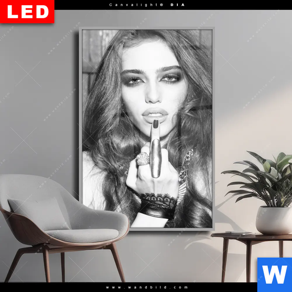 Wechselmotiv Acrylglas Canvalight® DIA | Schöner Mittelfinger | Hochformat