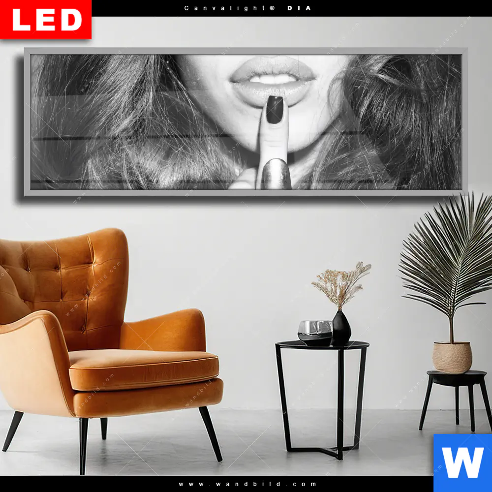 Wechselmotiv Acrylglas Canvalight® DIA | Schöner Mittelfinger | Panorama