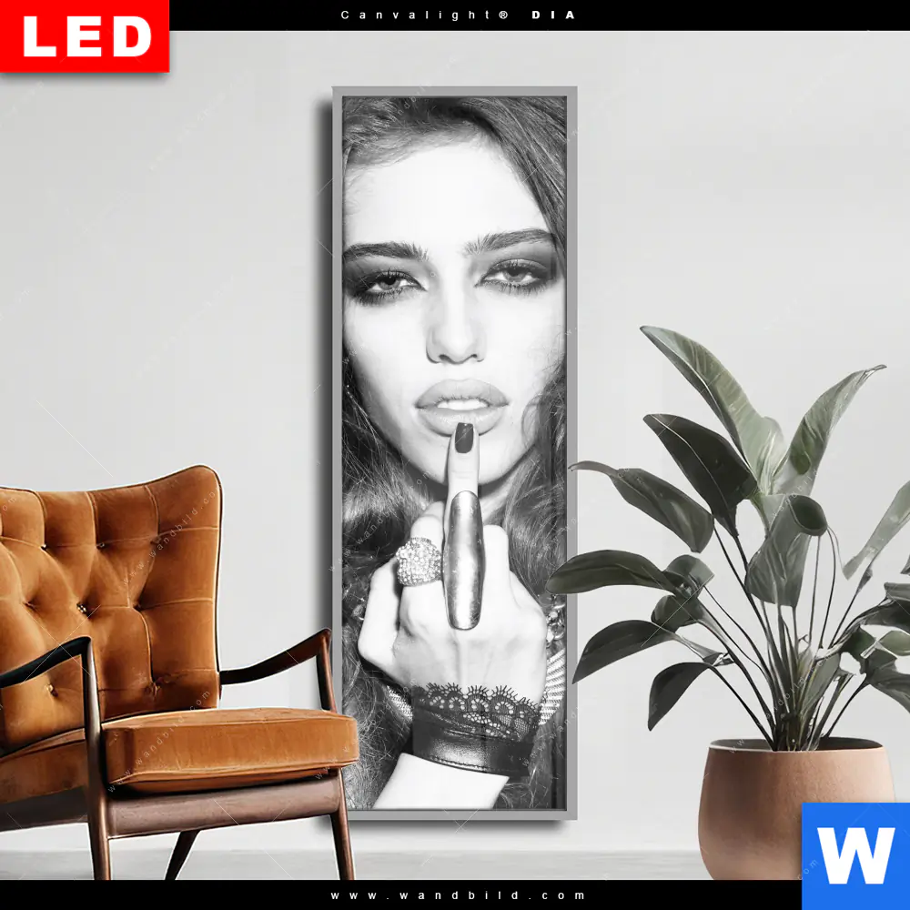 Wechselmotiv Acrylglas Canvalight® DIA | Schöner Mittelfinger | Schmal