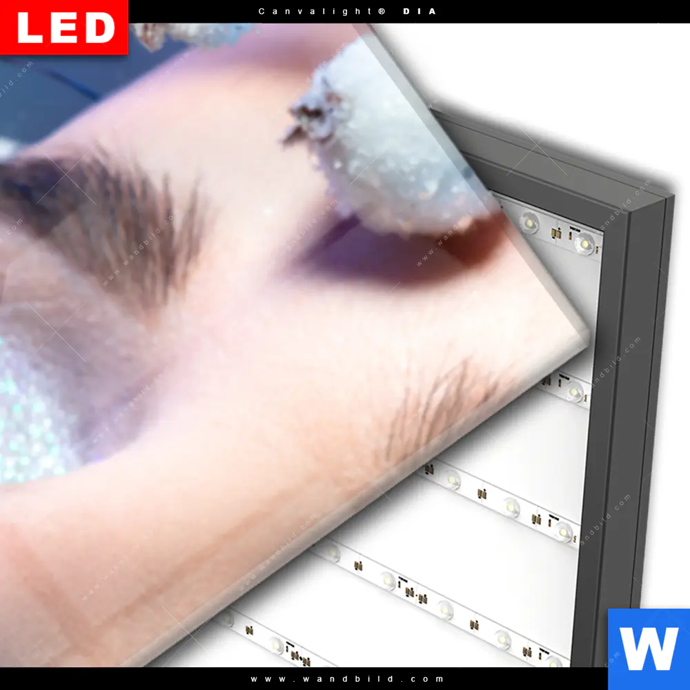 Wechselmotiv Acrylglas Canvalight® DIA | Schönheit in Blau & Weiss | Schmal - Image 3