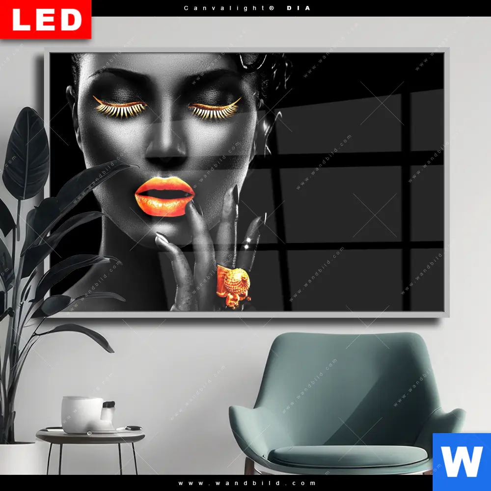 Wechselmotiv Acrylglas Canvalight® DIA | Schönheit in Schwarz | Querformat