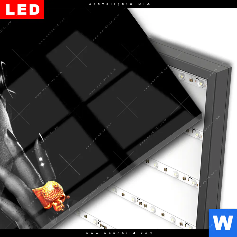 Wechselmotiv Acrylglas Canvalight® DIA | Schönheit in Schwarz | Querformat - Image 3