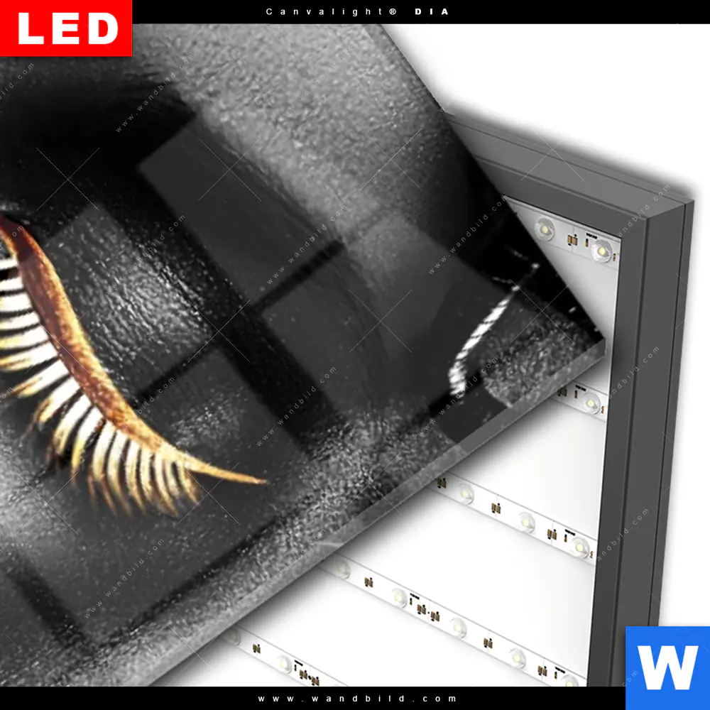 Wechselmotiv Acrylglas Canvalight® DIA | Schönheit in Schwarz | Schmal - Image 3