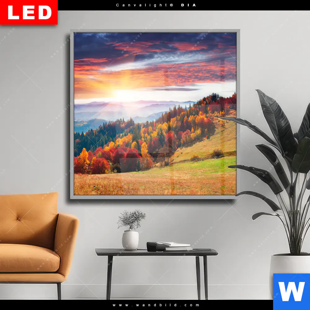 Wechselmotiv Acrylglas Canvalight® DIA | Schönheitswelt | Quadrat