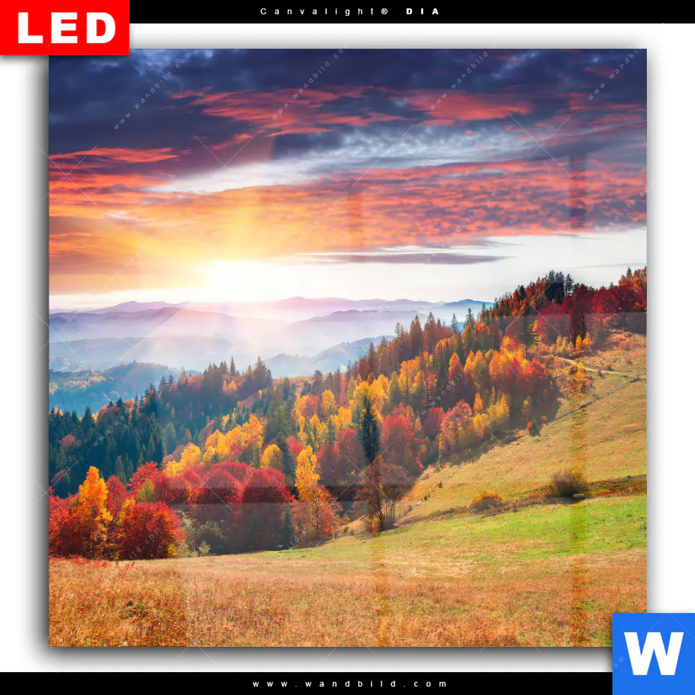 Wechselmotiv Acrylglas Canvalight® DIA | Schönheitswelt | Quadrat - Image 2