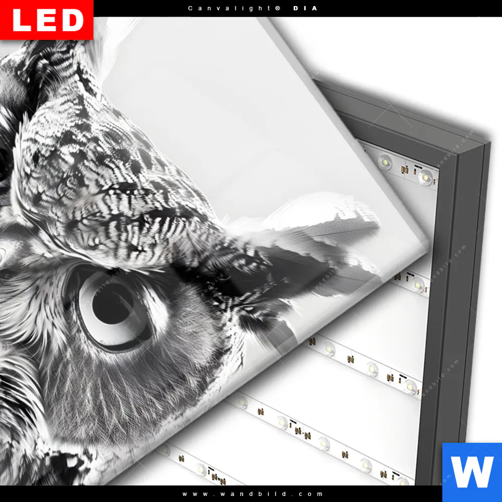 Wechselmotiv Acrylglas Canvalight® DIA | Schwarz-Weiß Eulenportrait | Hochformat - Image 3