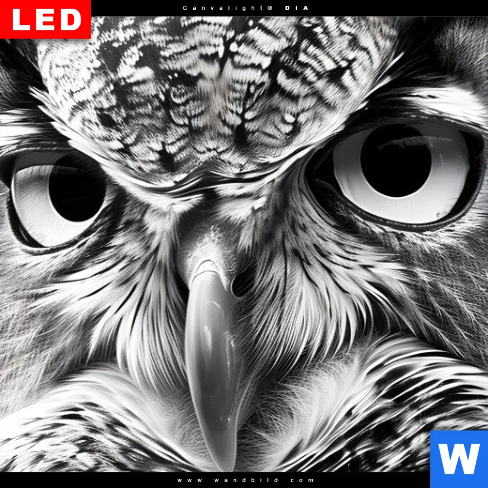 Wechselmotiv Acrylglas Canvalight® DIA | Schwarz-Weiß Eulenportrait | Hochformat - Image 4