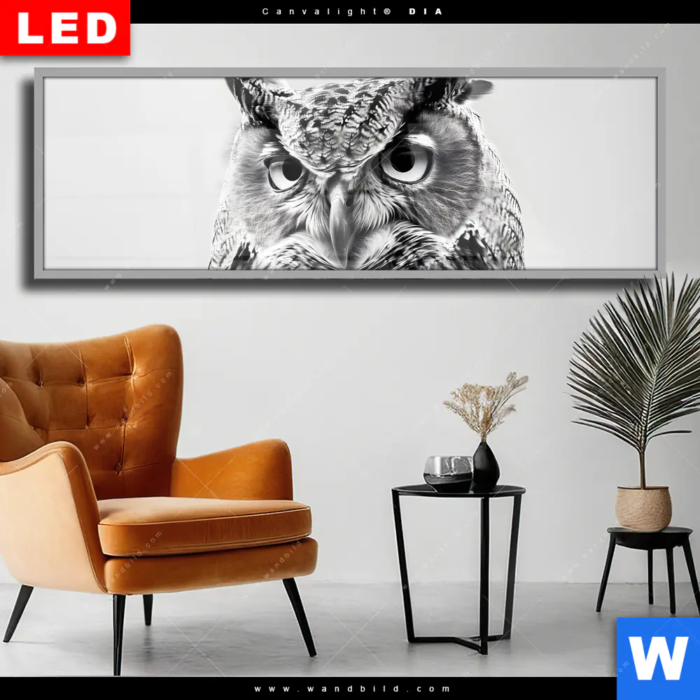 Wechselmotiv Acrylglas Canvalight® DIA | Schwarz-Weiß Eulenportrait | Panorama