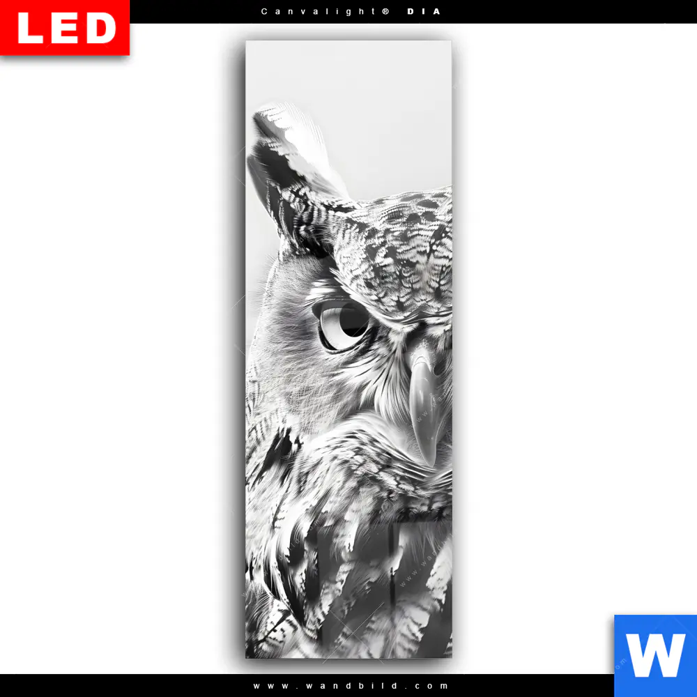 Wechselmotiv Acrylglas Canvalight® DIA | Schwarz-Weiß Eulenportrait | Schmal - Image 2