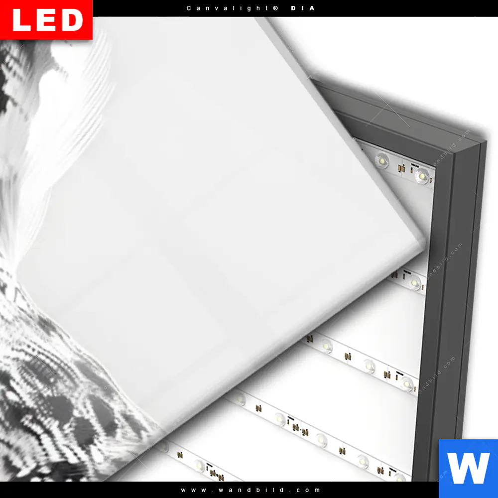 Wechselmotiv Acrylglas Canvalight® DIA | Schwarz-Weiß Eulenportrait | Schmal - Image 3