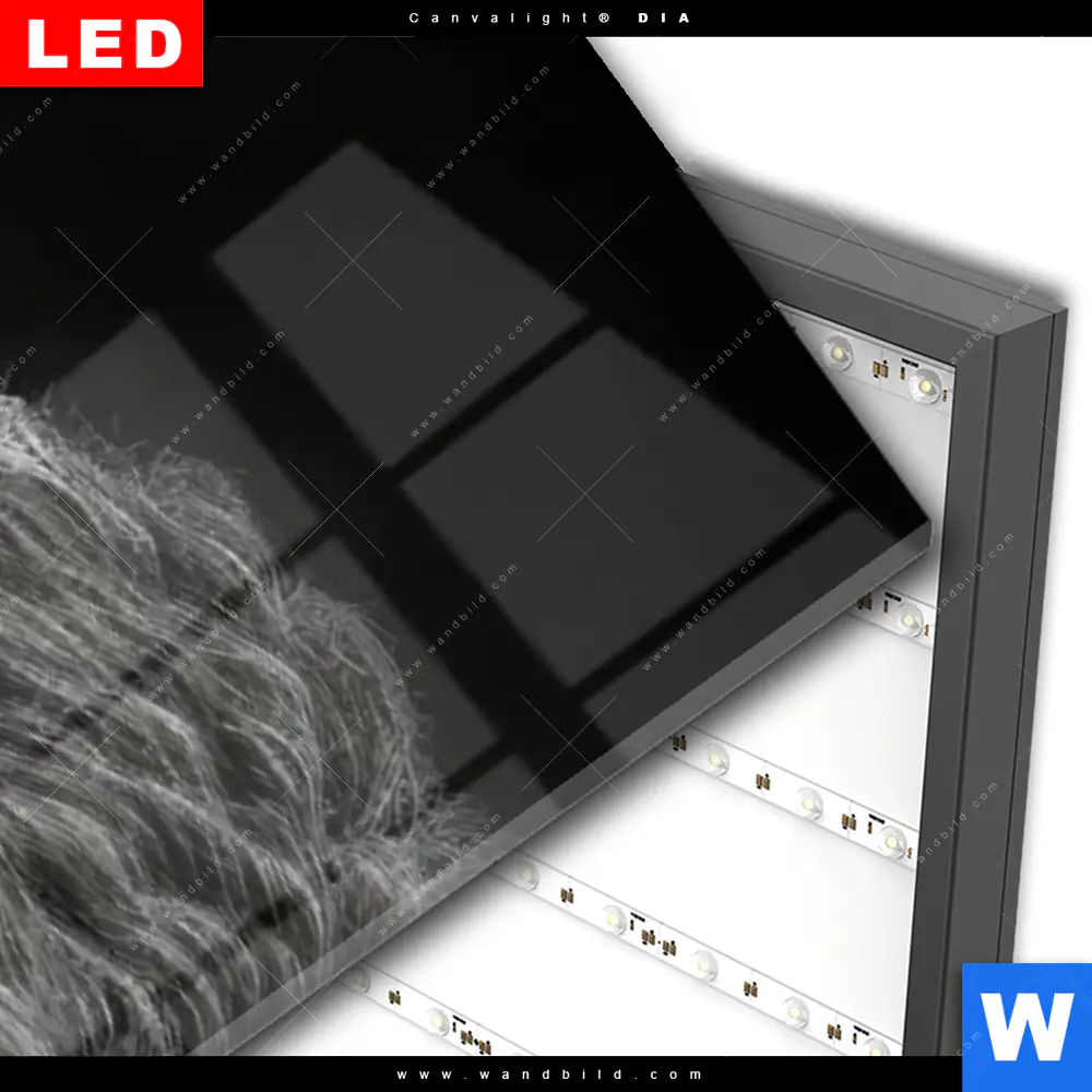 Wechselmotiv Acrylglas Canvalight® DIA | Schwarzer Bulle | Schmal - Image 3