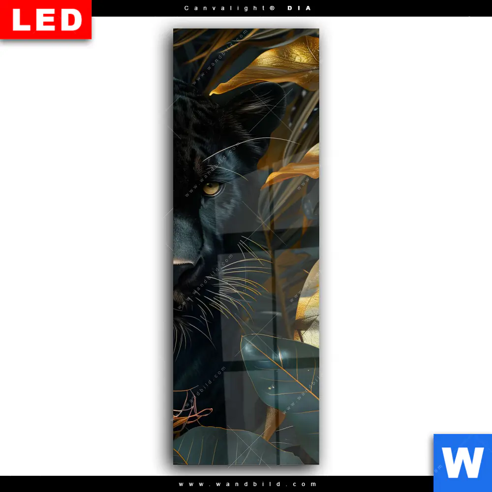Wechselmotiv Acrylglas Canvalight® DIA | Schwarzer Panther im Dschungel | Schmal - Image 2