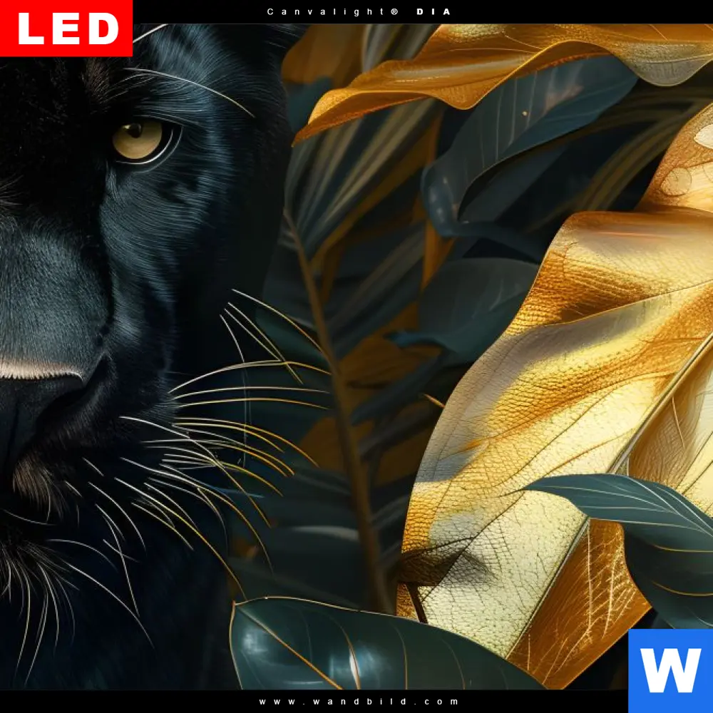 Wechselmotiv Acrylglas Canvalight® DIA | Schwarzer Panther im Dschungel | Schmal - Image 4