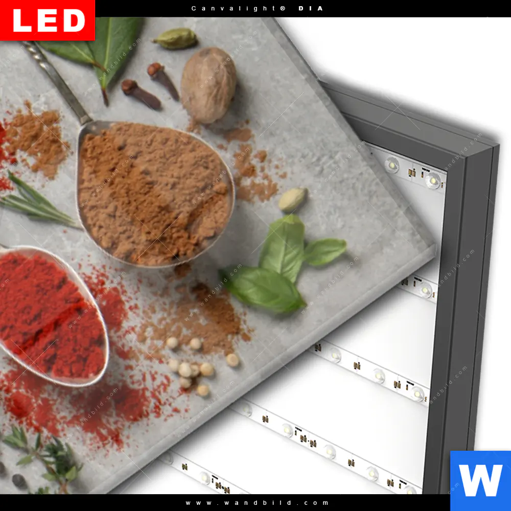 Wechselmotiv Acrylglas Canvalight® DIA | Silberlöffel mit Gewürzen | Schmal - Image 3
