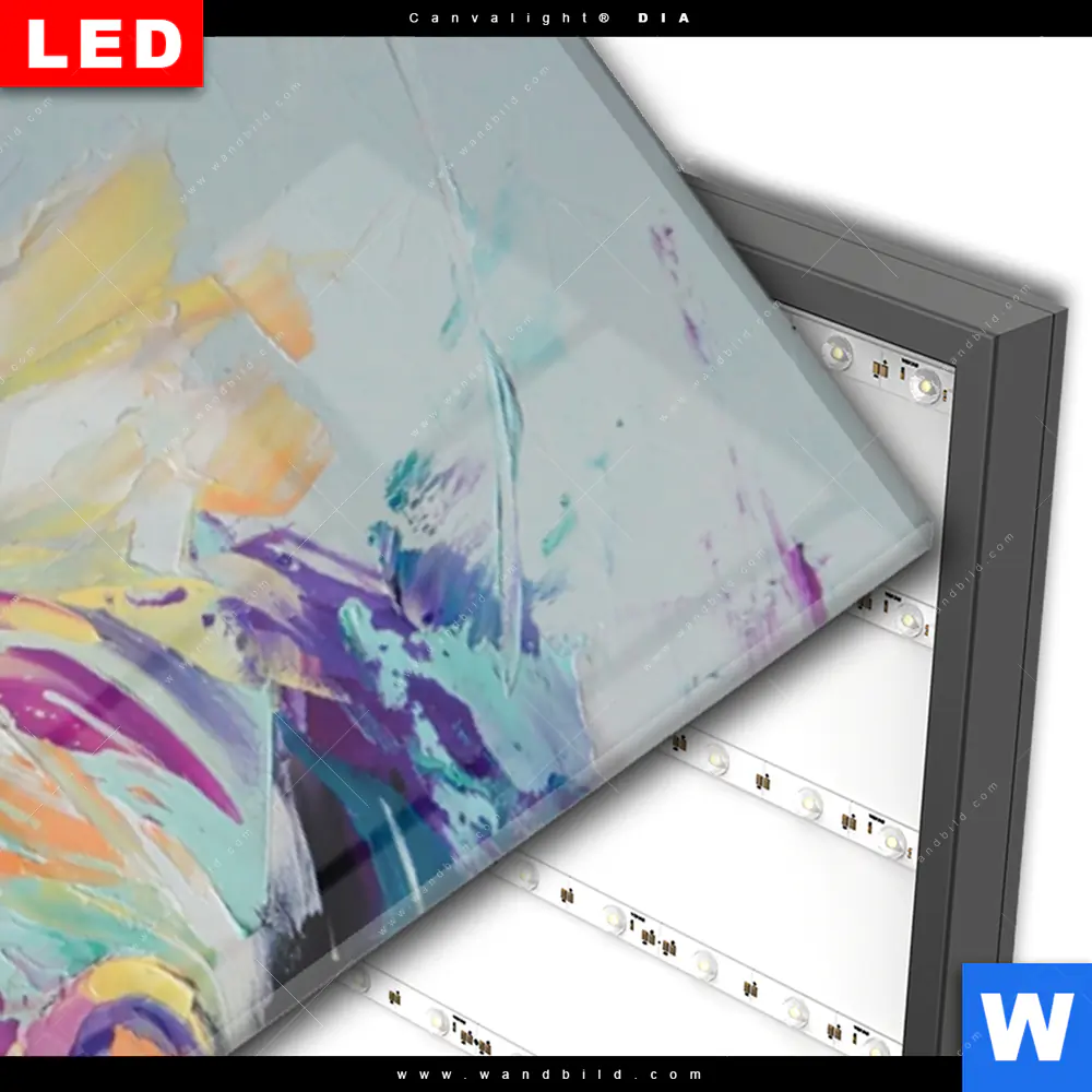 Wechselmotiv Acrylglas Canvalight® DIA | Sinnliche Schönheit | Panorama - Image 3