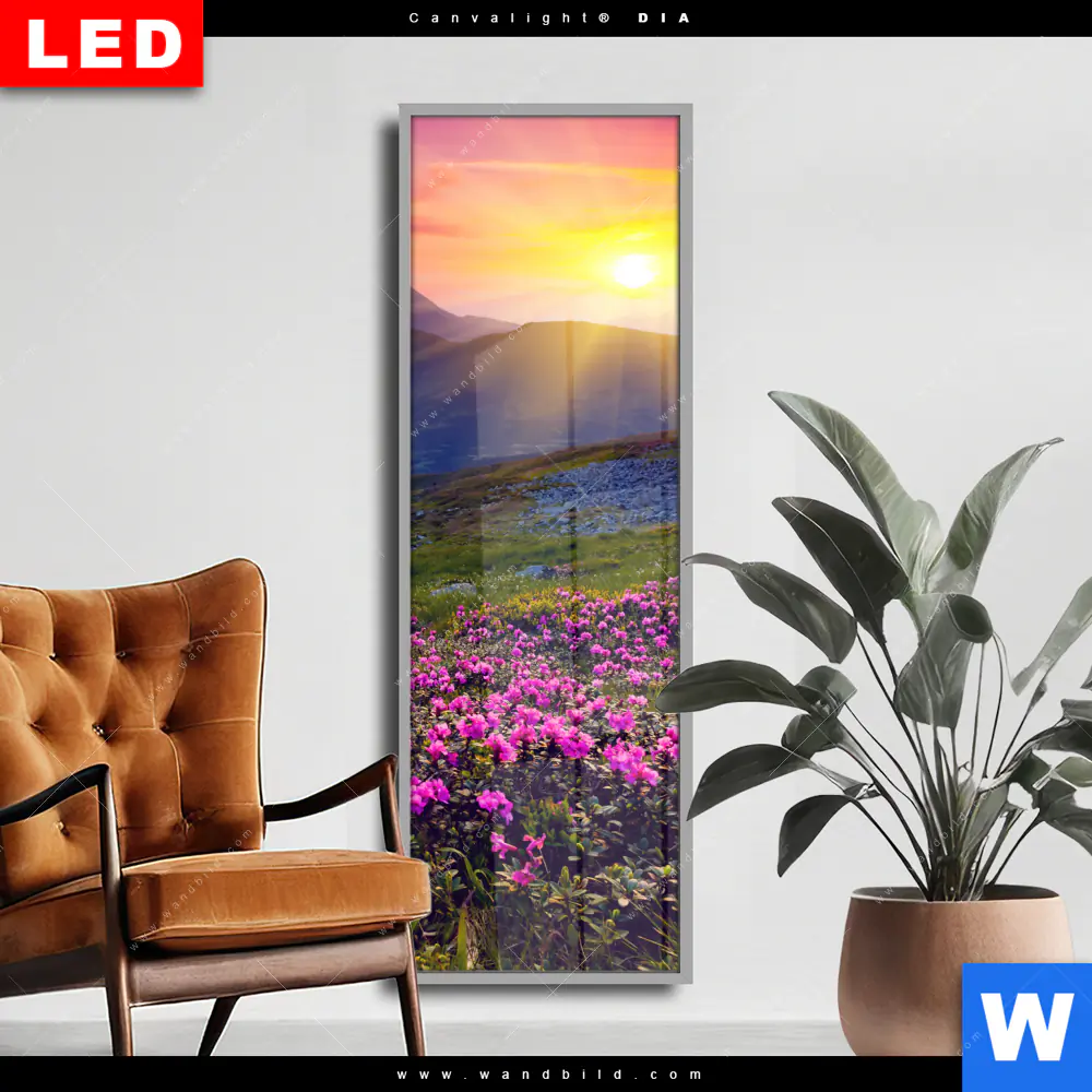 Wechselmotiv Acrylglas Canvalight® DIA | Sommerberg im Sonnenuntergang | Schmal